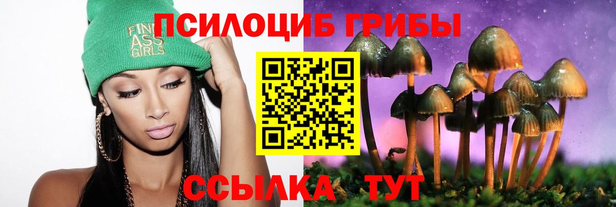 Псилоцибиновые грибы мицелий  Вход с VPN  Железноводск 